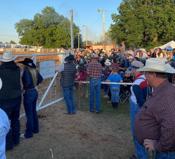 Rodeo crowd